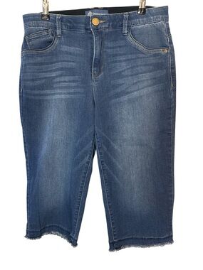 Democracy Absolution Denim Shorts Size 10 Mid Rise Stretch